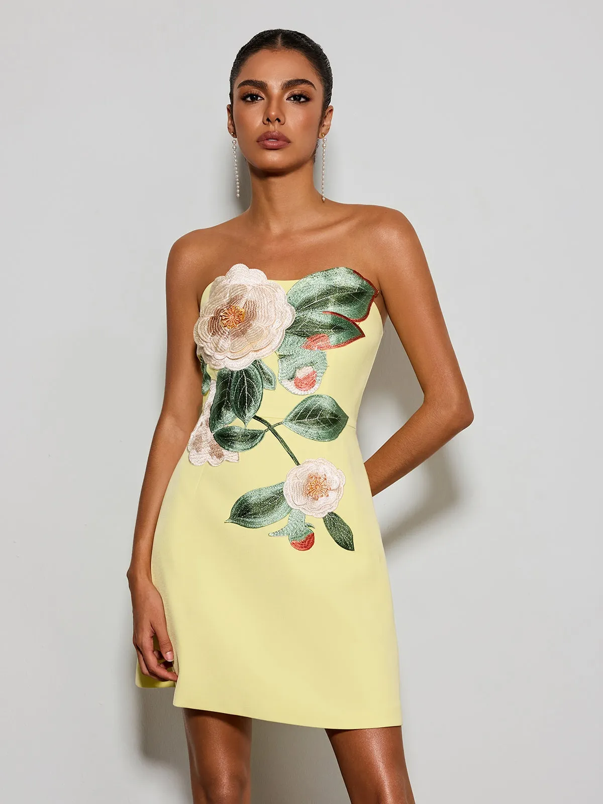 Olaniyi Strapless Flower Embroidered Mini Dress sold by Mew Mews