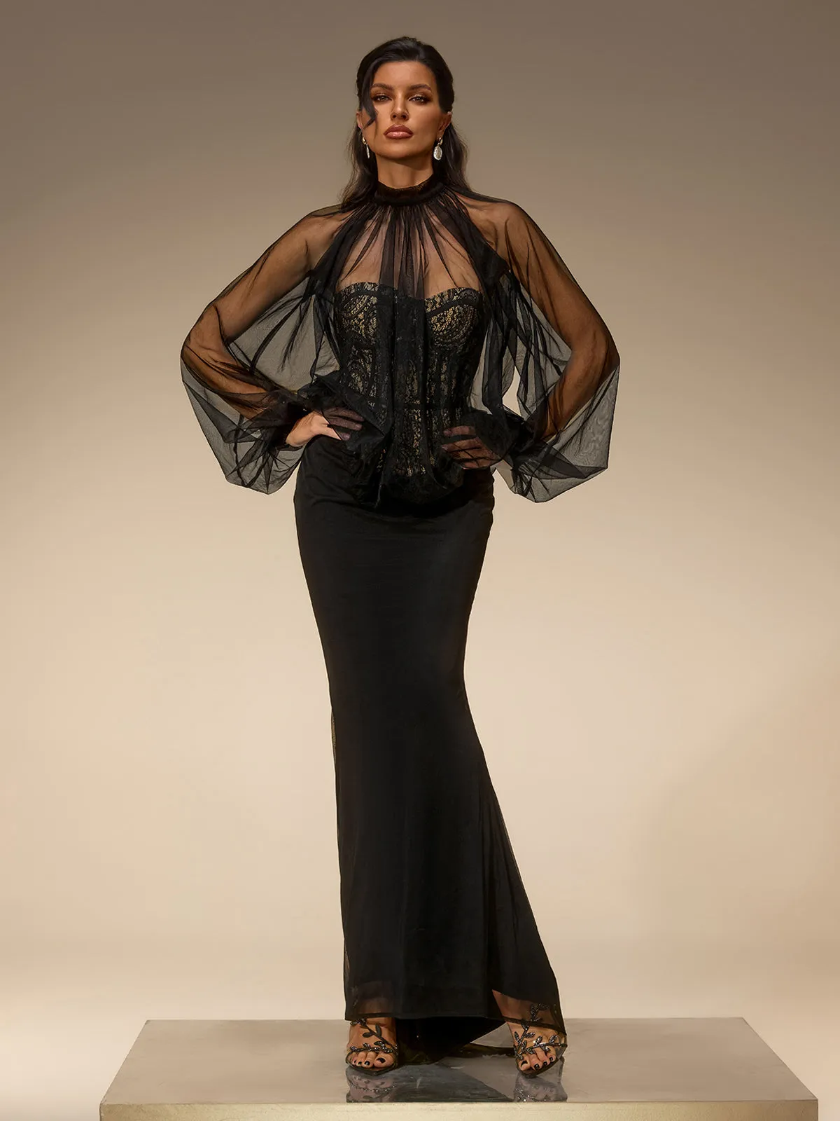 Evelia Lantern Sleeve Mesh Maxi Dress sold by Mew Mews product image thumbnail 3