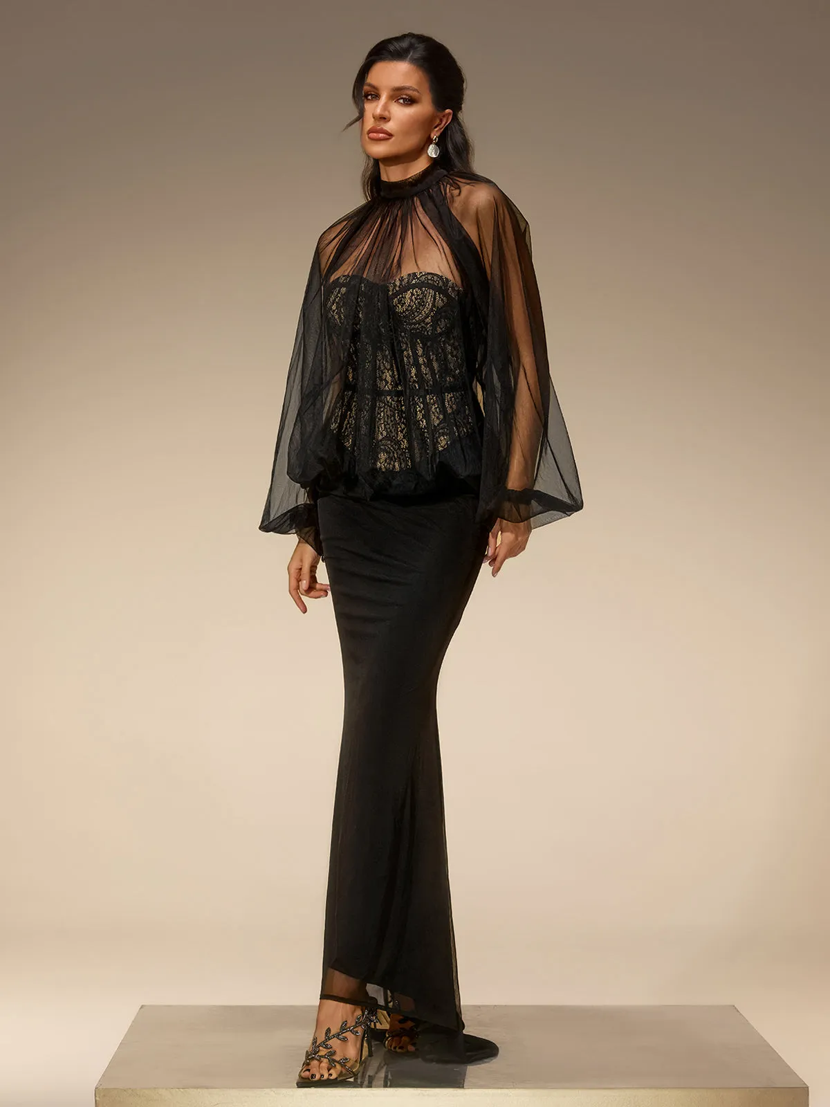 Evelia Lantern Sleeve Mesh Maxi Dress sold by Mew Mews product image thumbnail 4