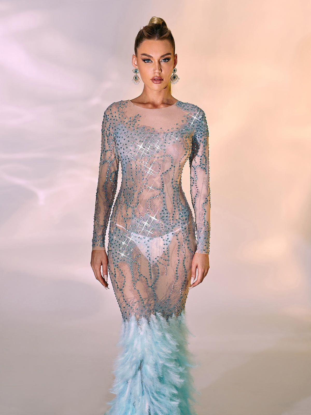 Briar Long Sleeve Rhinestone Feather Maxi Dress sold by Mew Mews product image thumbnail 5