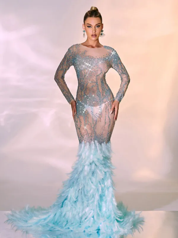 Briar Long Sleeve Rhinestone Feather Maxi Dress sold by Mew Mews