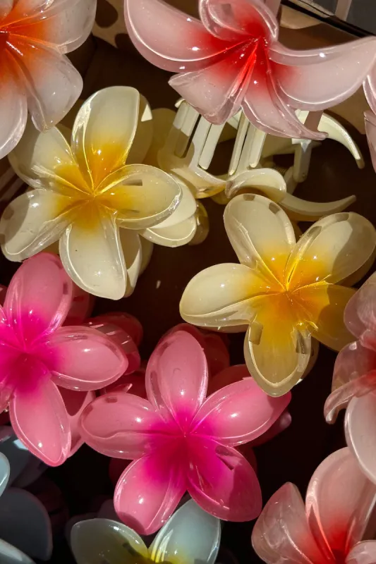 Frangipani Hair Clips sold by Tropical Dream