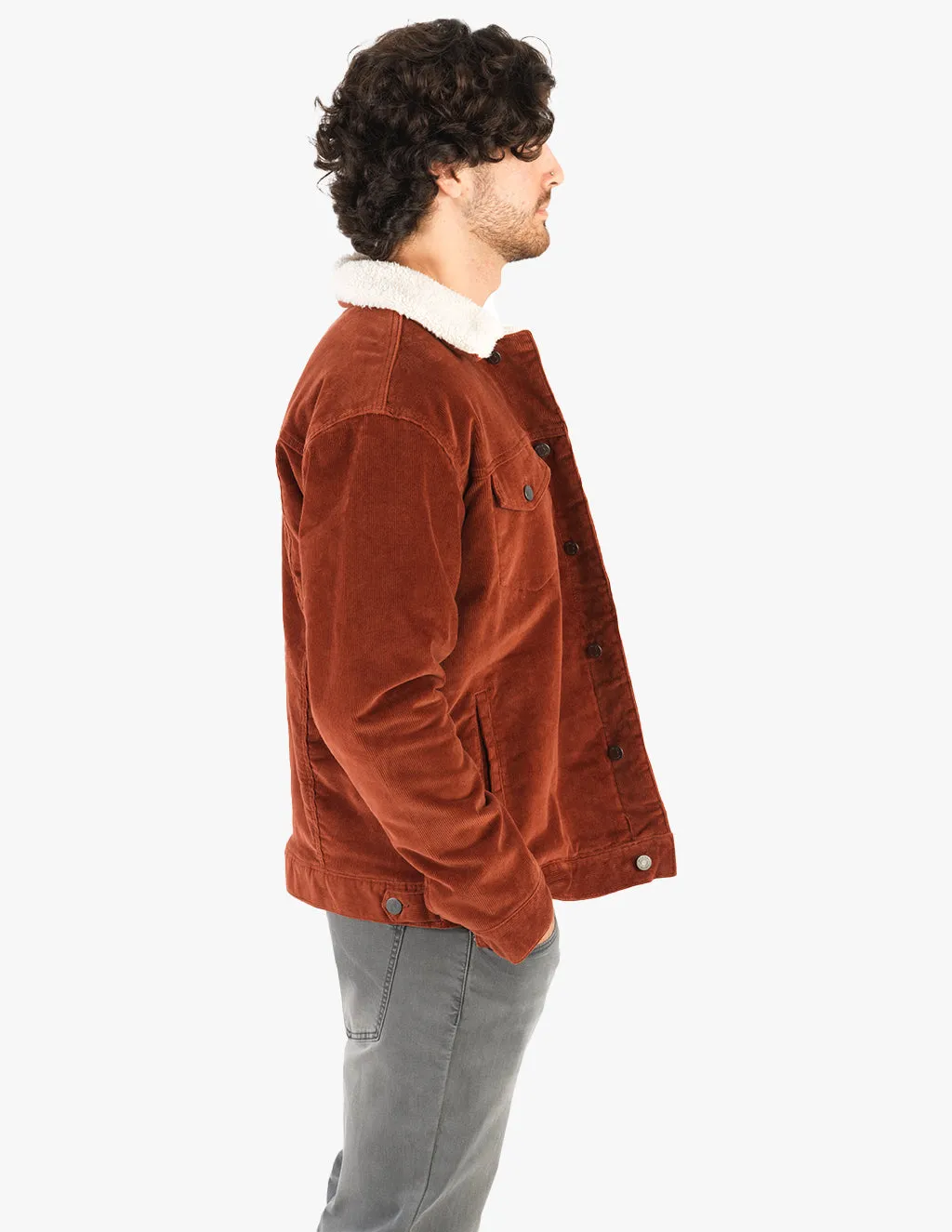 Auburns sold by Mugsy product image thumbnail 4