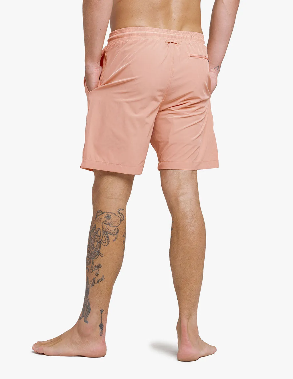 Corals sold by Mugsy product image thumbnail 4