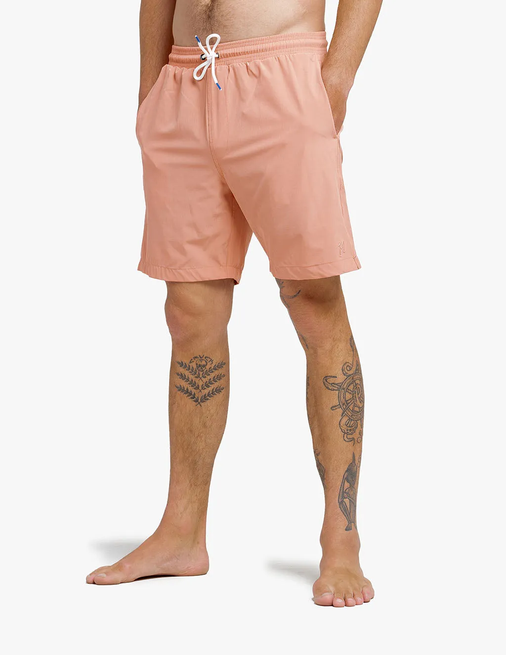 Corals sold by Mugsy product image thumbnail 3