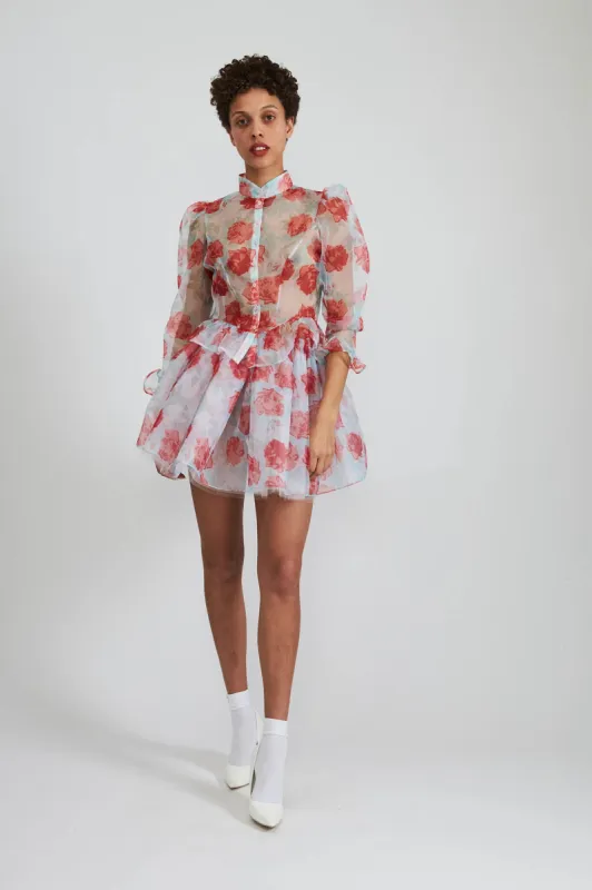 Tutu in Painted Rose Organza made by Batsheva