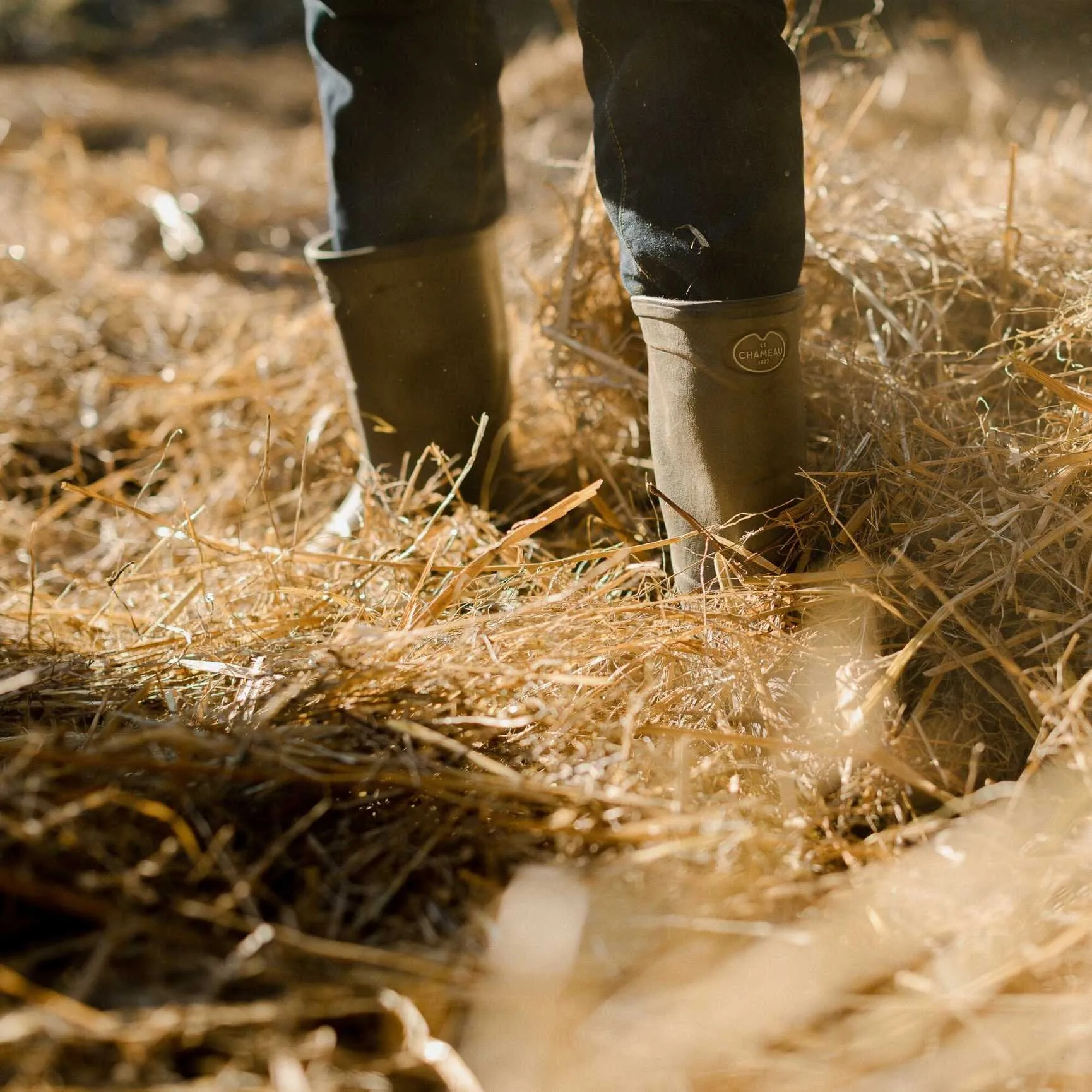 Le Chameau MEN'S Cross Country Bottillon in Vert Chameau sold by Gardenheir product image thumbnail 5