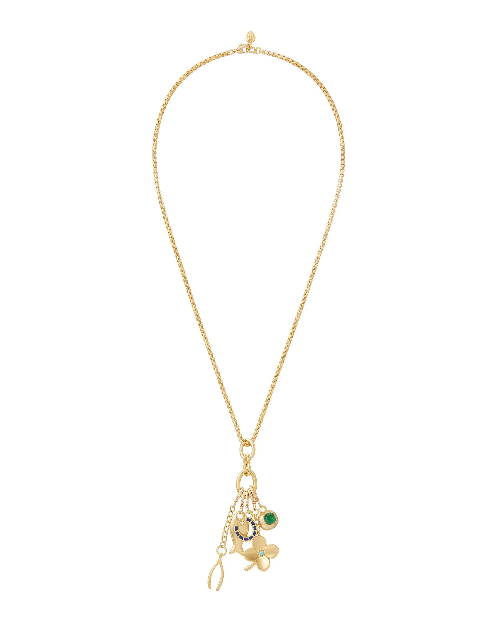 The Buona Fortuna Charm Pendant sold by Roxanne Assoulin