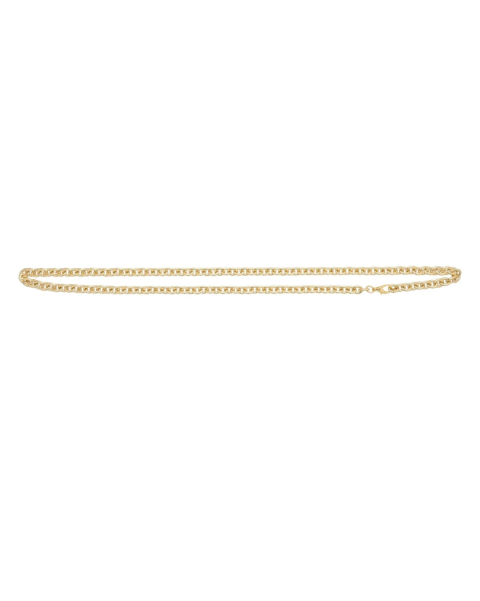 The Cable Chain Belt sold by Roxanne Assoulin