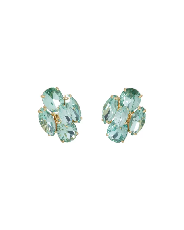 The Crystal Cluster Earrings made by Roxanne Assoulin