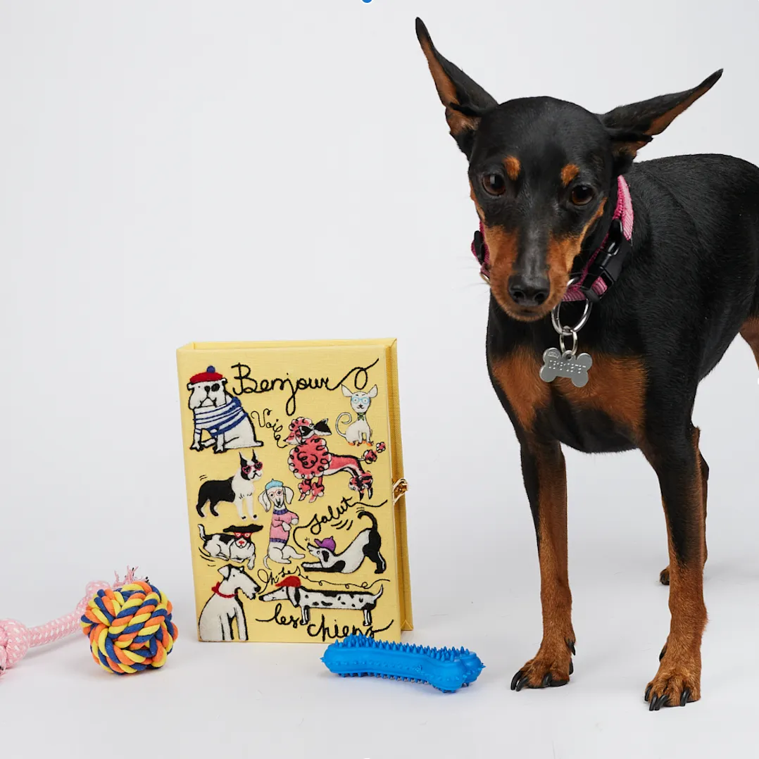 Bonjour les Chiens sold by Olympia Le-Tan product image thumbnail 5