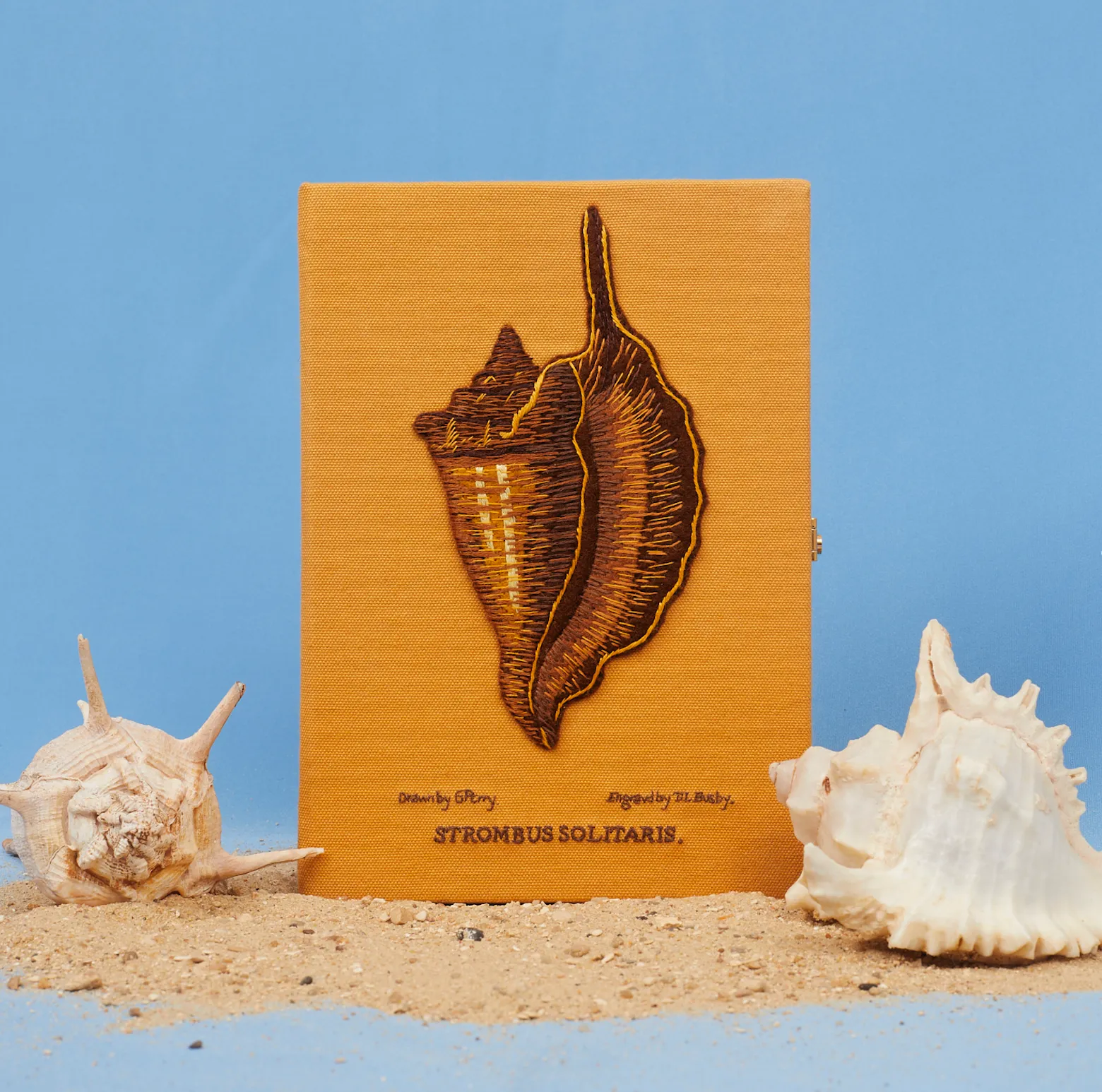 Solitary Conch (Strapped) sold by Olympia Le-Tan product image thumbnail 5