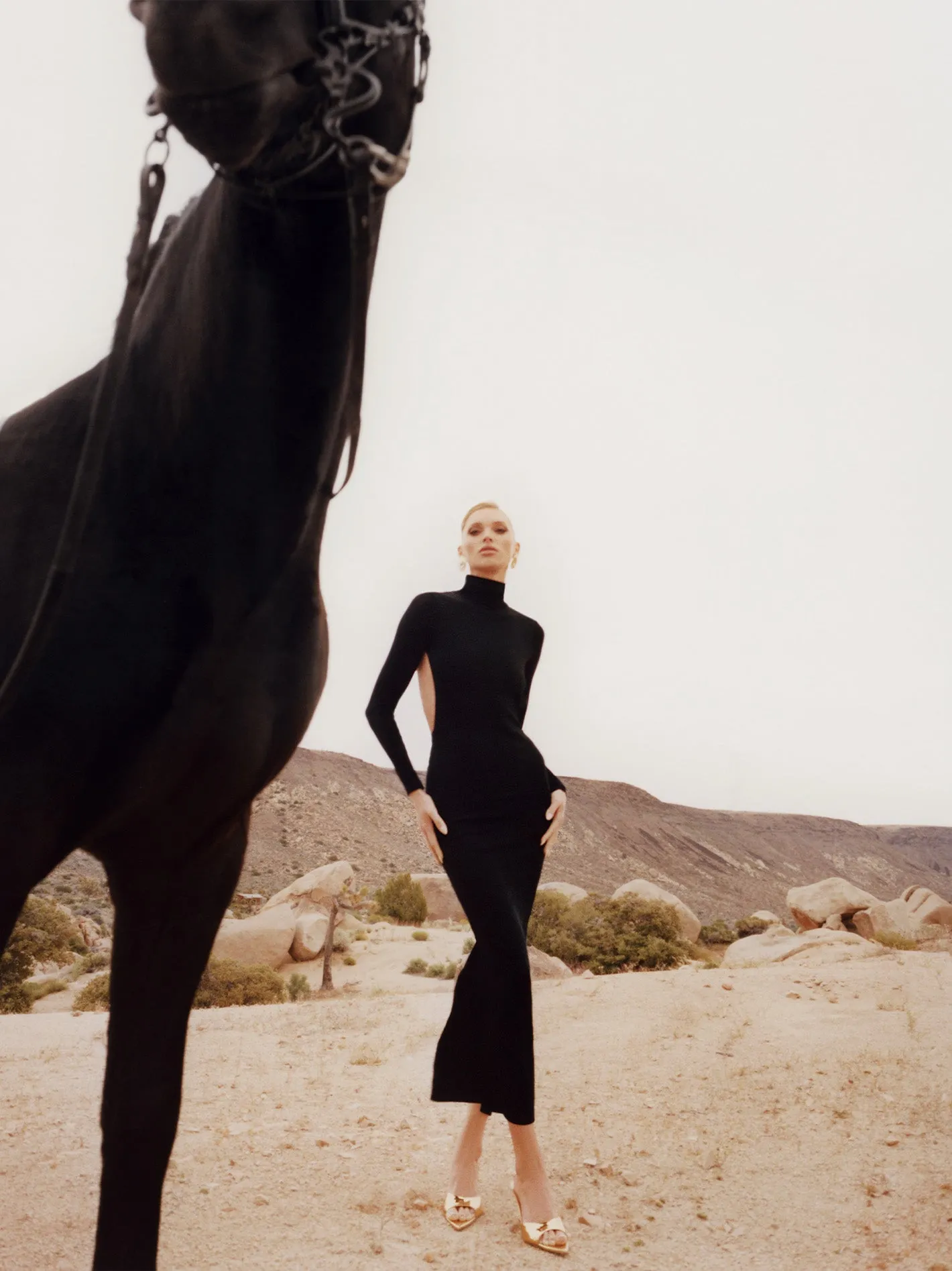 Dina Dress (Final Sale) sold by Nana Jacqueline product image thumbnail 4