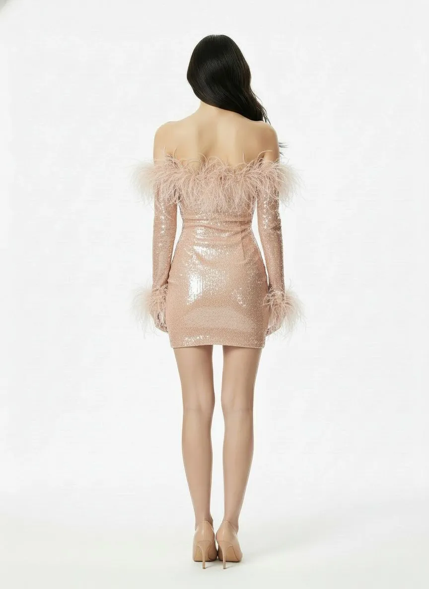 Ariella Sequin Mini Dress sold by Nana Jacqueline product image thumbnail 4