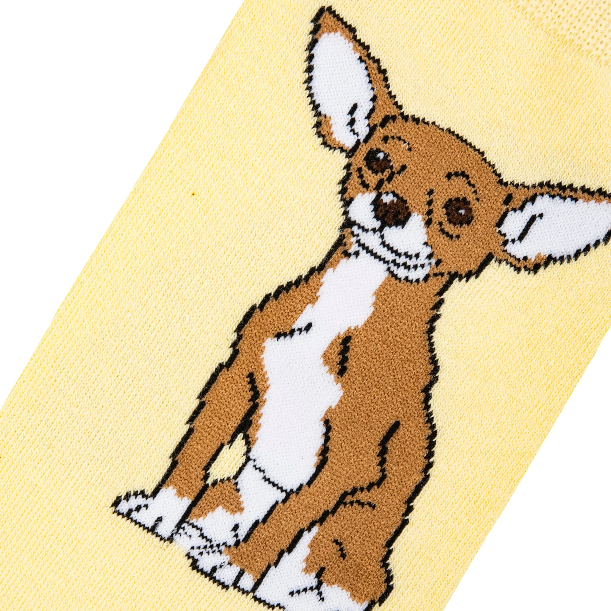 Chihuahua Women's Crew Socks sold by Odd Sox product image thumbnail 4