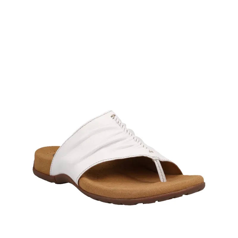 Taos Women's Gift 2 Classic White sold by Orleans Shoe Co.