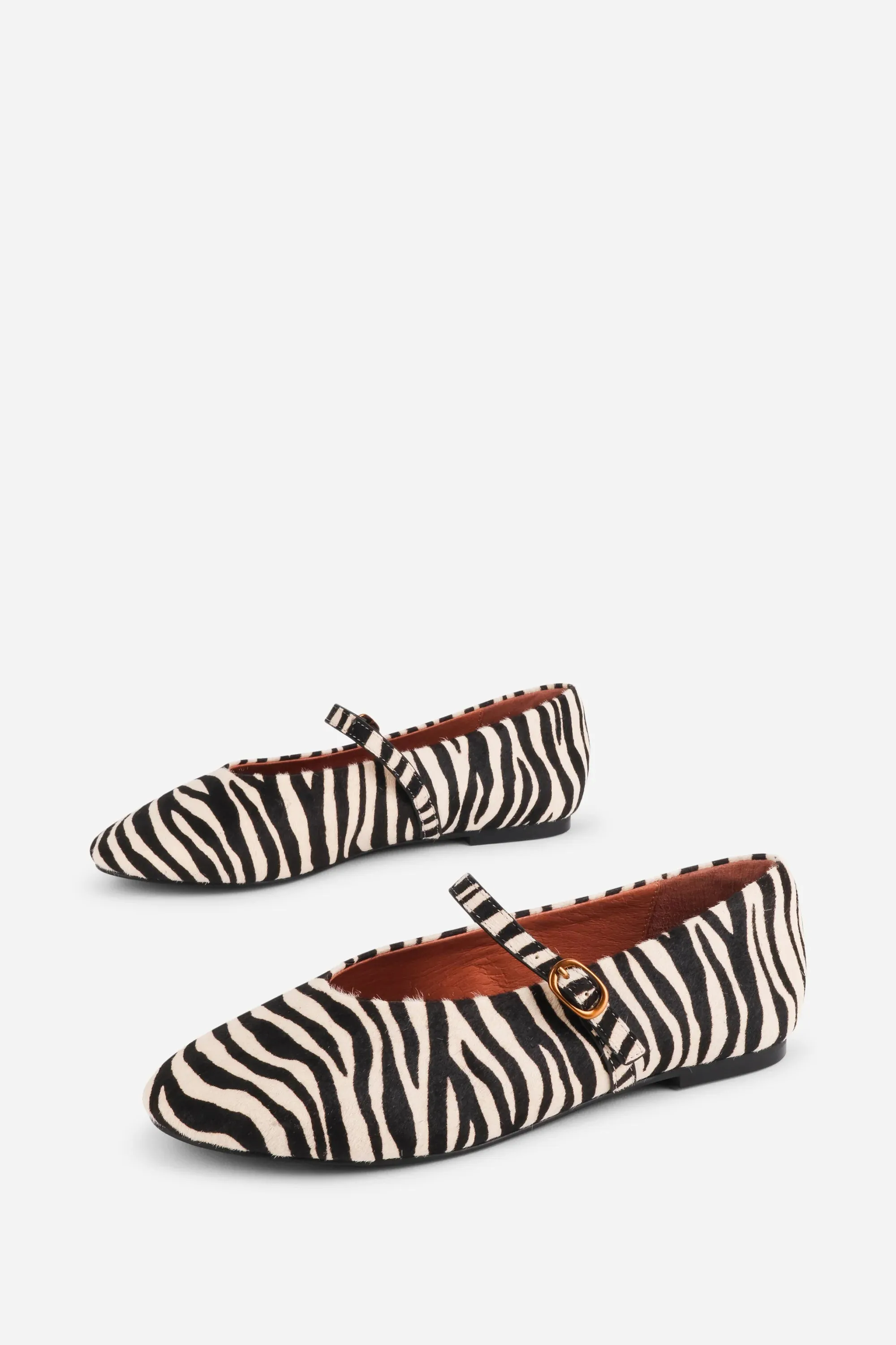Intentionally Blank Women's Larisa Zebra sold by Orleans Shoe Co. product image thumbnail 3