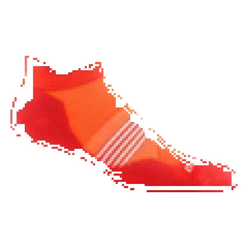 Darn Tough Vermont Men's Element No Shoe Tab Lightweight Running Socks Tiger 1116 sold by Orleans Shoe Co.