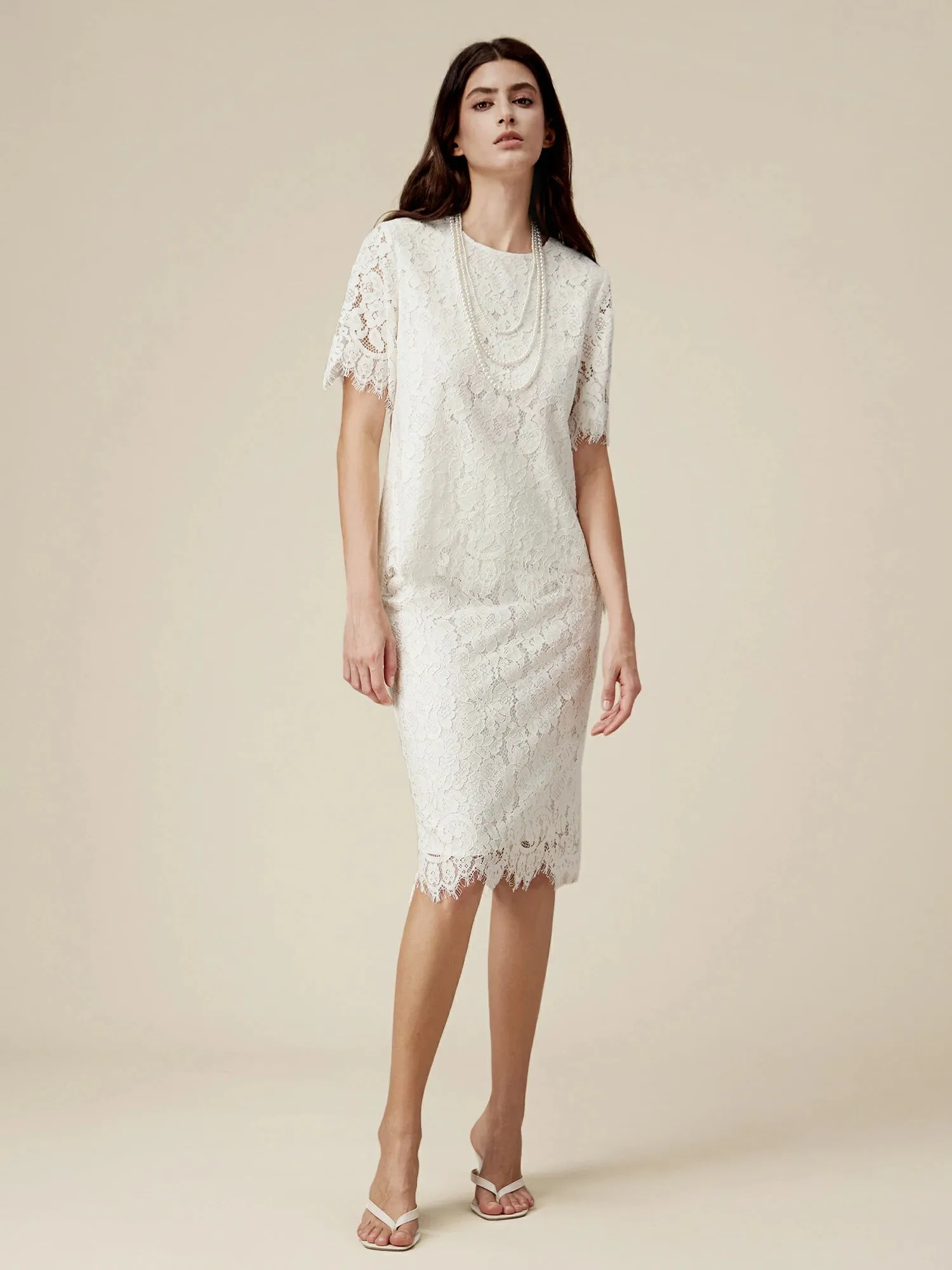 Amoretu Cotton Short Sleeve Lace Top sold by Amoretu product image thumbnail 3