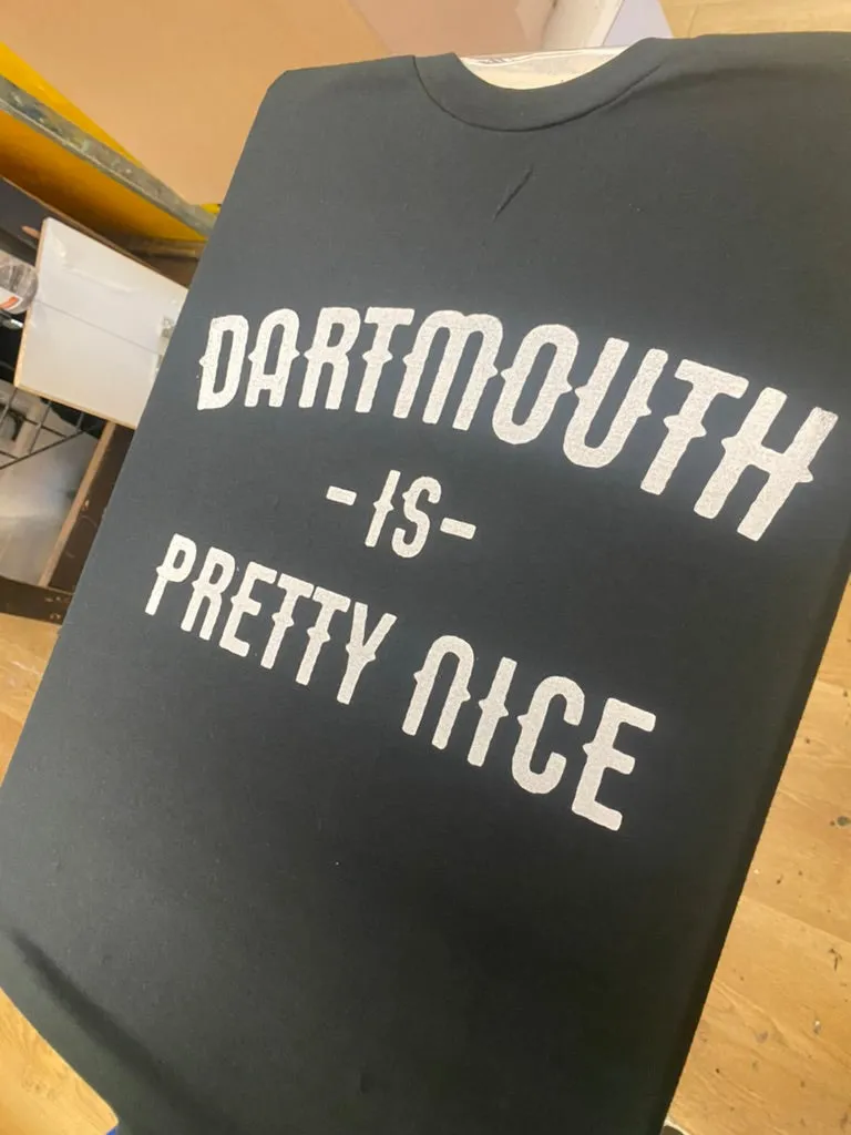 Dartmouth is Pretty Nice T-shirt - Hand-Printed on Organic Cotton/Poly Blend sold by The Quarrelsome Yeti product image thumbnail 3