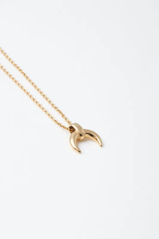 Sydni sold by PETA AND JAIN