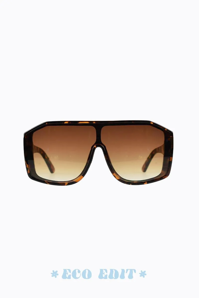 Cameron - Tortoiseshell sold by PETA AND JAIN