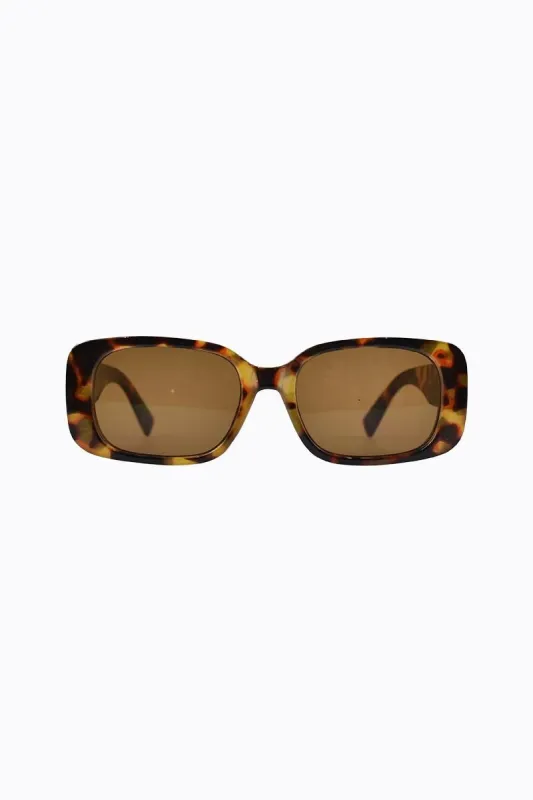 Nova - Tortoiseshell sold by PETA AND JAIN