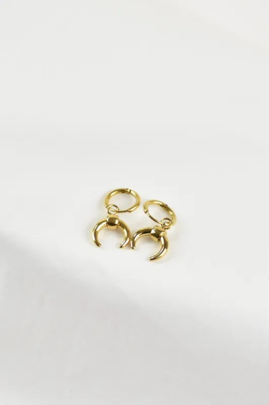 Arianna sold by PETA AND JAIN