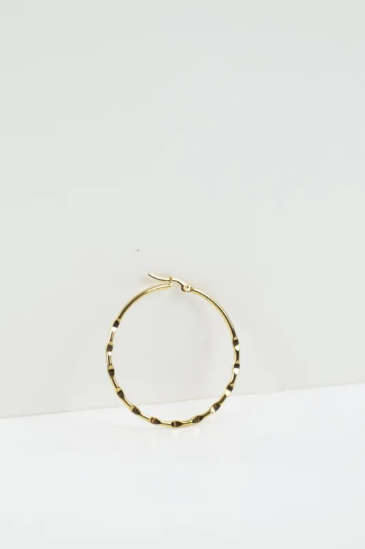 Lennox sold by PETA AND JAIN