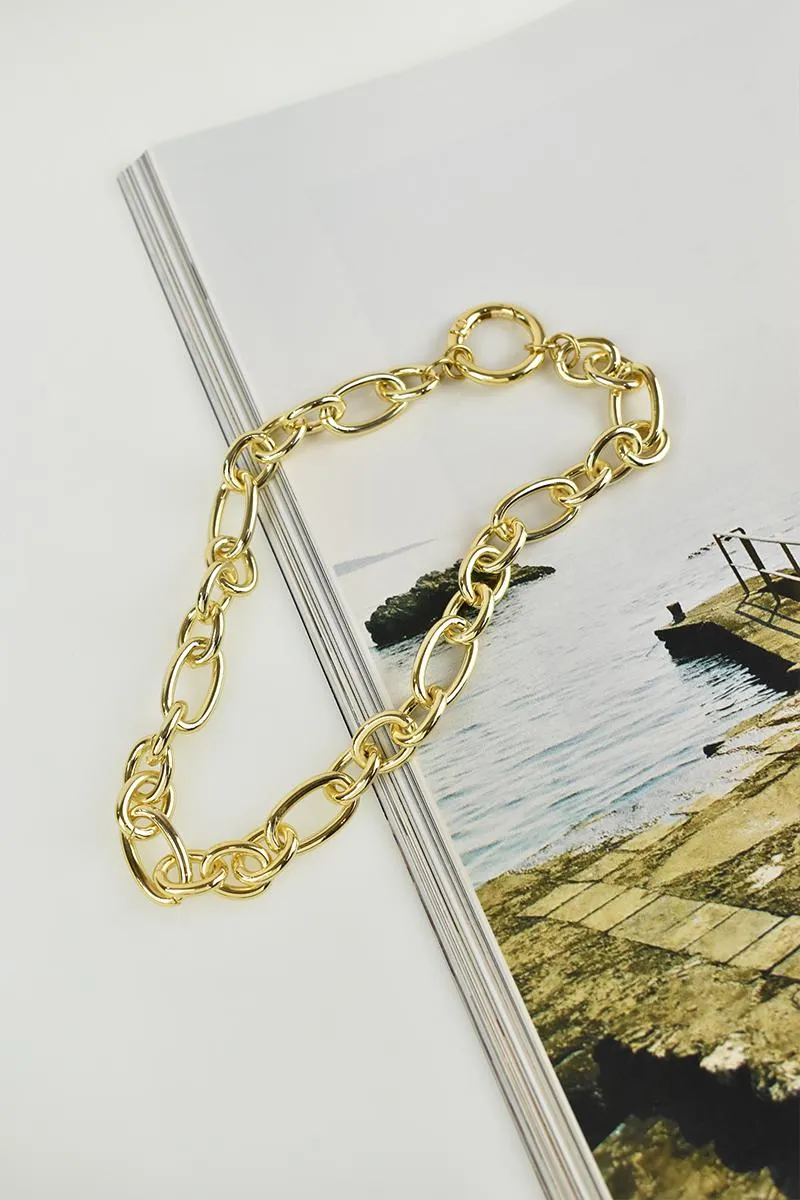 Shaylee sold by PETA AND JAIN