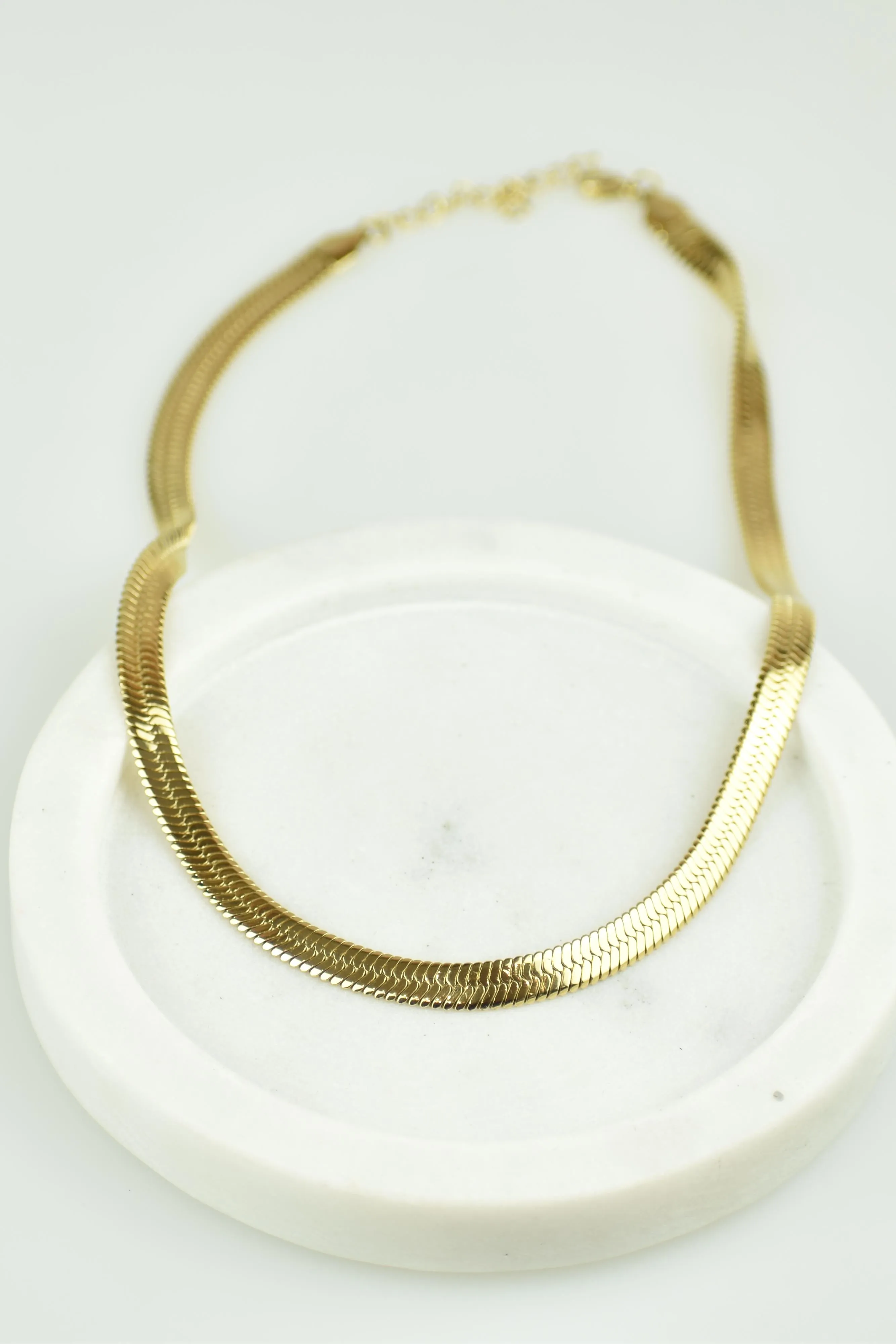 Hailey sold by PETA AND JAIN