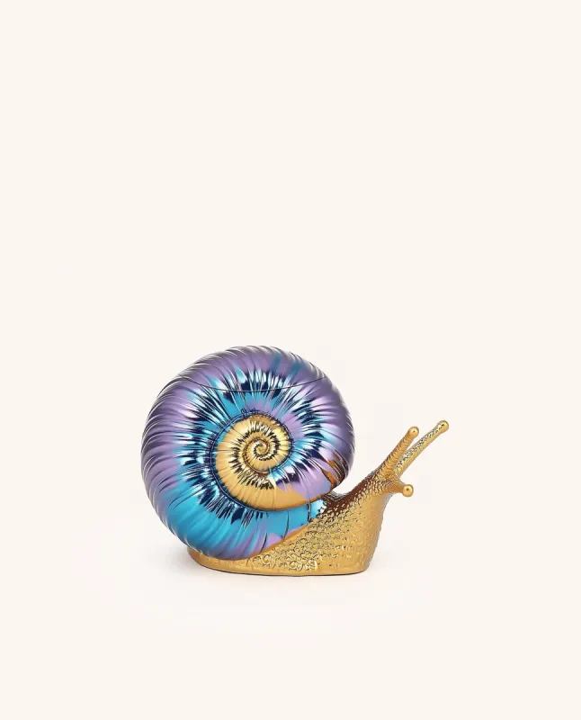 Lucy Iridescent Snail Clutch - Multicolor sold by JW PEI