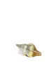 Emily Crystal Shell Clutch - Multicolor sold by JW PEI