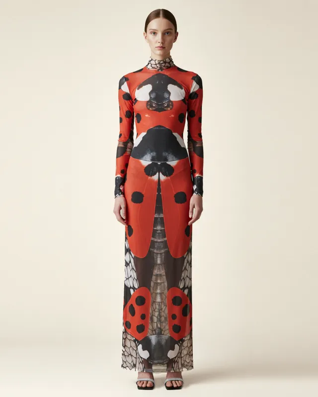 Ladybug Print Sheer Long Sleeve Dress - Red/Black sold by JW PEI
