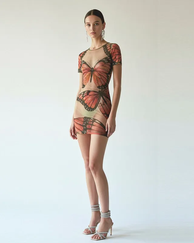Butterfly Printed Mesh Dress - Pink/Black sold by JW PEI