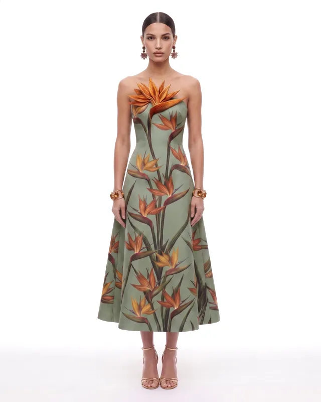 Bird of Paradise Appliqué Strapless A-Line Midi Dress - Sage Green made by JW PEI