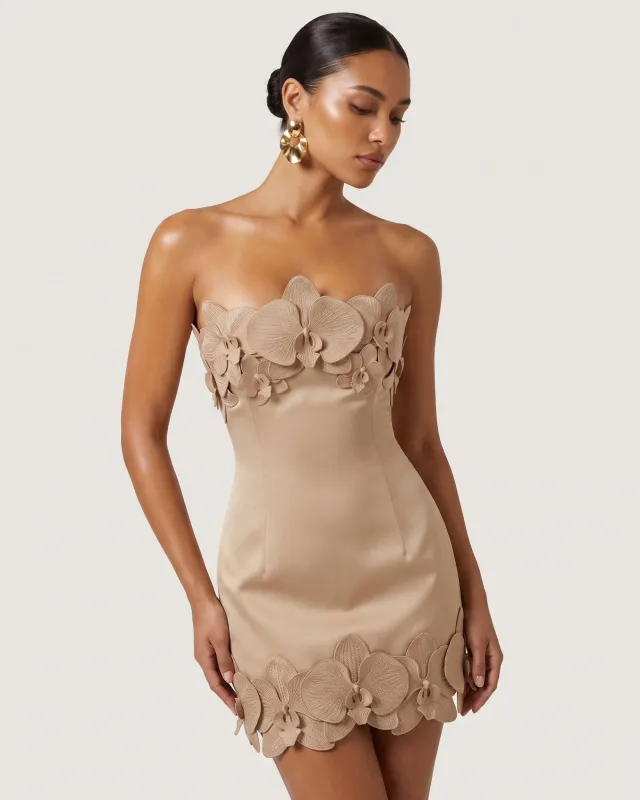 Orchid Trim Strapless Mini Dress - Mocha Brown made by JW PEI