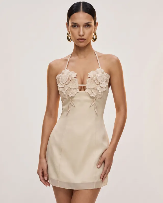 Flower Embroidered Mini Dress - Light Champagne made by JW PEI