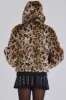 Leopard Faux Fur Hooded Mendoza Jacket sold by Jaded London