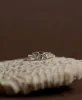 Zoe & Morgan | Let The Sun Shine In Ring - Silver sold by Sister & Co