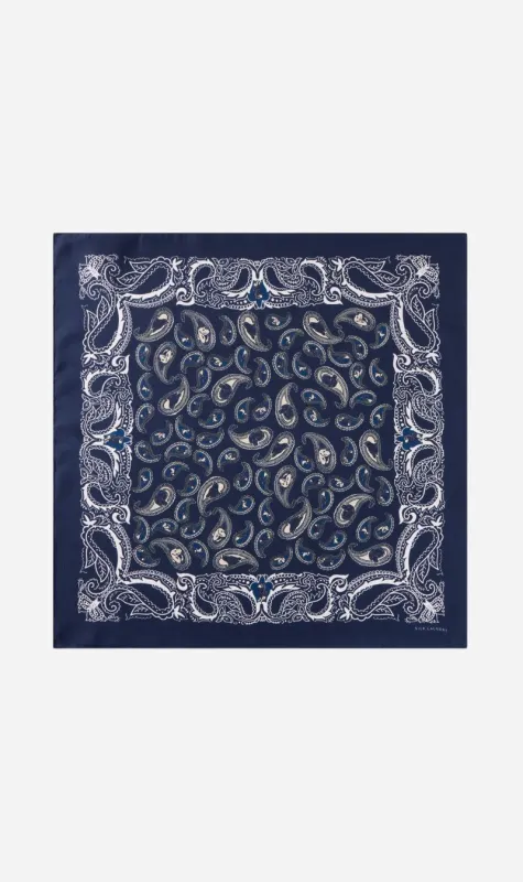 Silk Laundry | Scarf - Hounds Paisley sold by Sister & Co