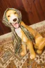 Alemais | Clemenza Silk Scarf - Multi sold by Sister & Co