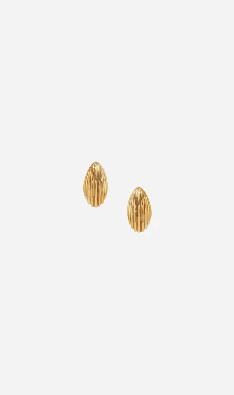 Anine Bing | Small Ribbed Drop Earrings - Gold sold by Sister & Co