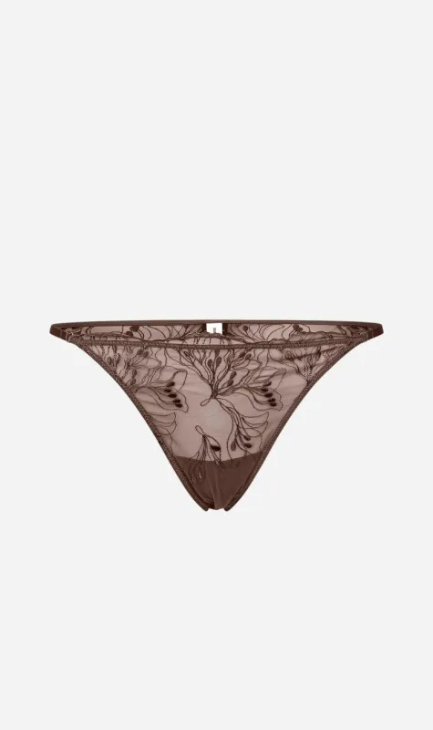 Samsoe Samsoe | Saaudrey Brief - French Roast sold by Sister & Co