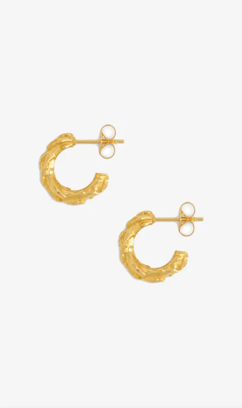 La Tribe | Vine Hoop - Gold sold by Sisters & Co