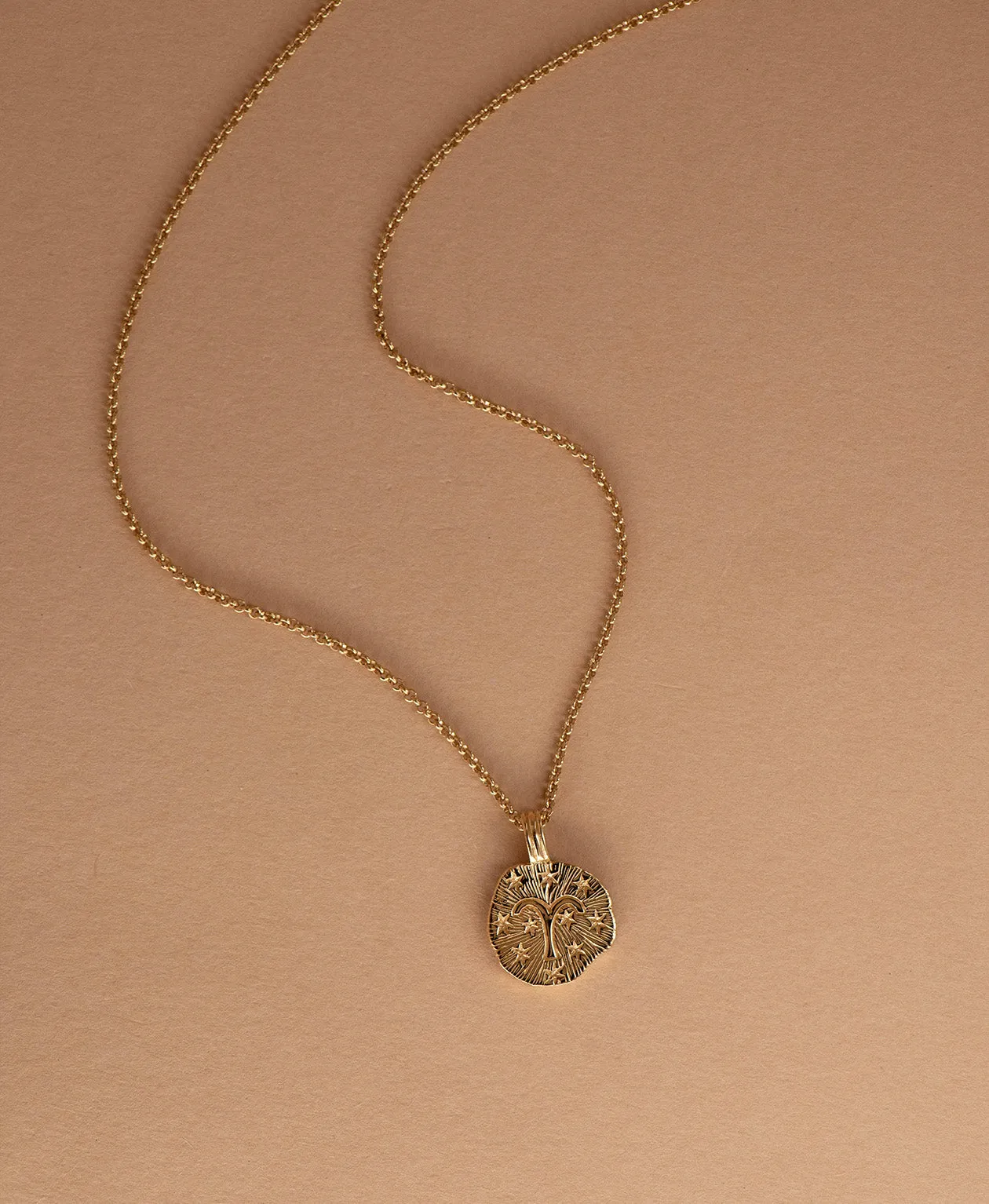 Zoe & Morgan | Sun In Aries Necklace - Gold sold by Sisters & Co product image thumbnail 3