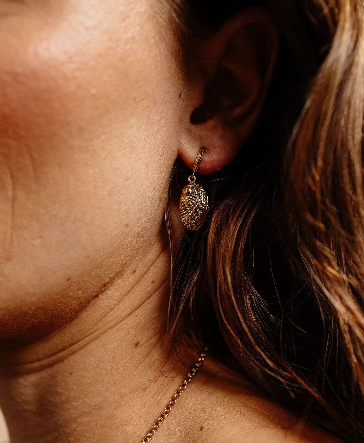 Zoe & Morgan | Soul Paua Earrings - Gold sold by Sisters & Co product image thumbnail 3