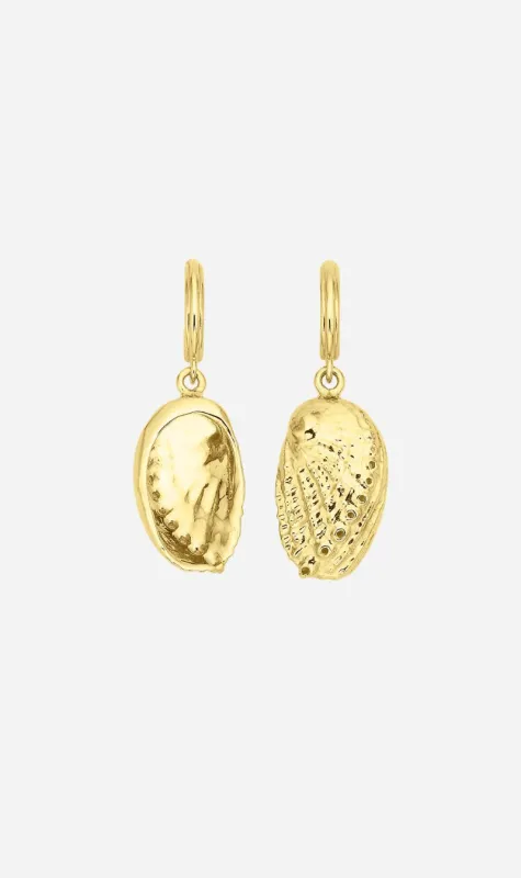 Zoe & Morgan | Soul Paua Earrings - Gold made by Sisters & Co