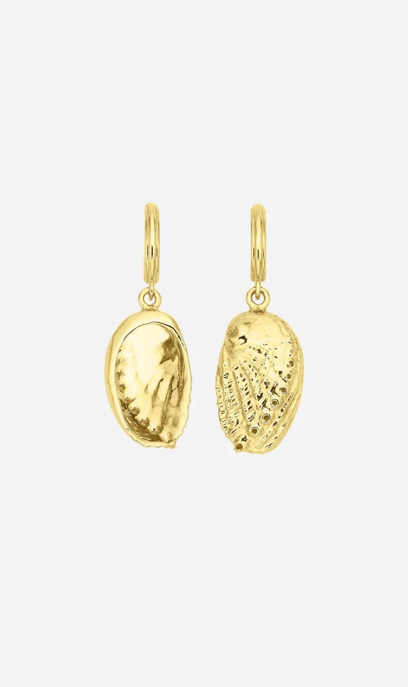 Zoe & Morgan | Soul Paua Earrings - Gold sold by Sisters & Co