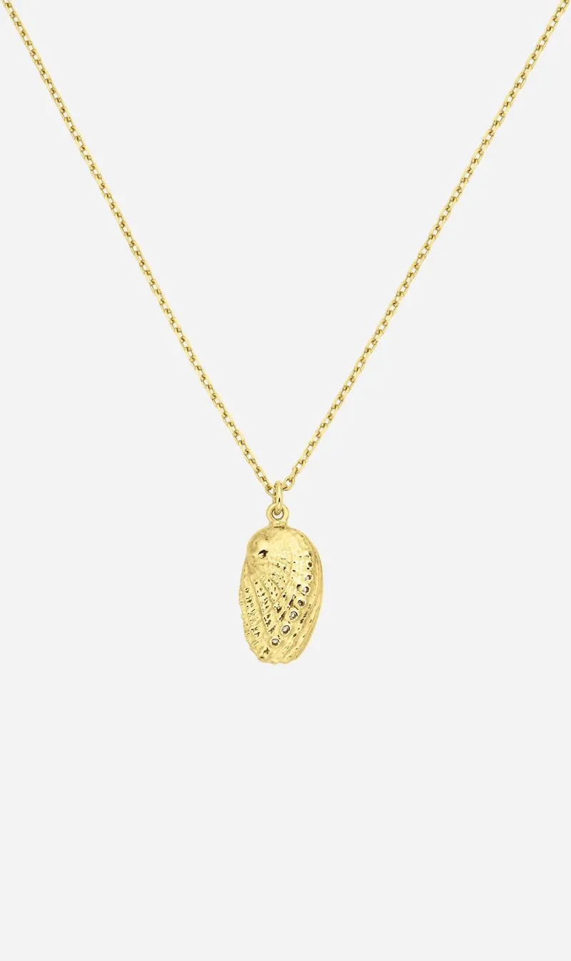 Zoe & Morgan | Soul Paua Necklace - Gold sold by Sisters & Co
